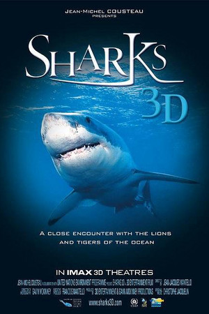 鲨鱼 3D