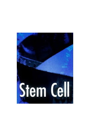 Stem Cell