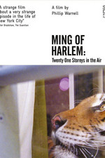 Ming of Harlem: Twenty One Storeys in the Air