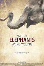 大象年幼时