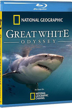 Great White Odyssey