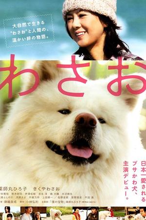 秋田犬蓬夫