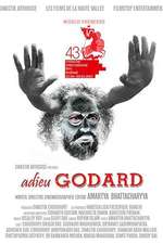 Adieu Godard