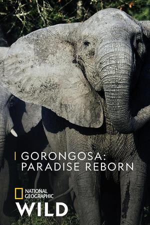 Gorongosa: Paradise Reborn